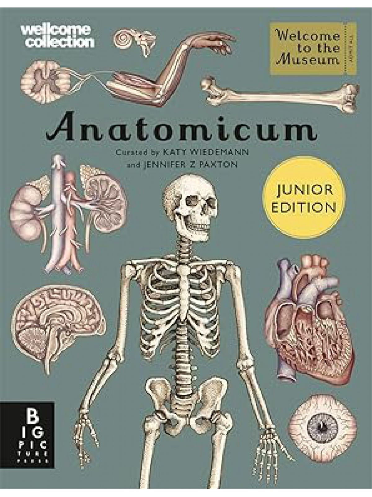 ANATOMICUM (JUNIOR EDITION)