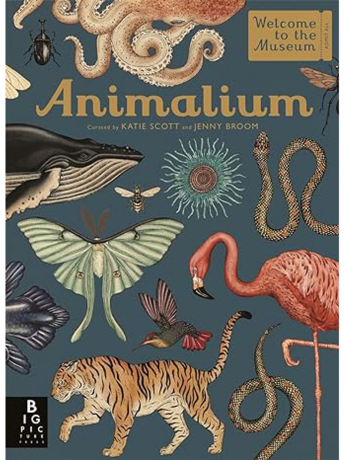 ANIMALIUM
