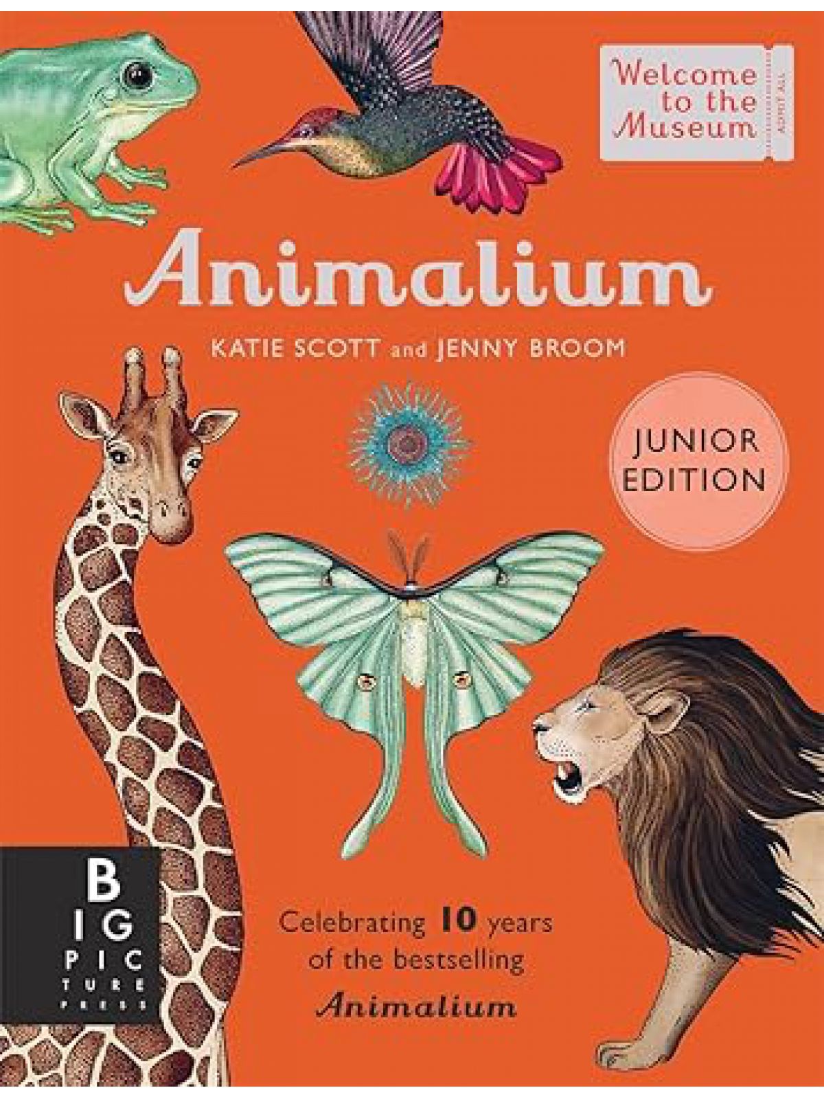 ANIMALIUM (JUNIOR EDITION)