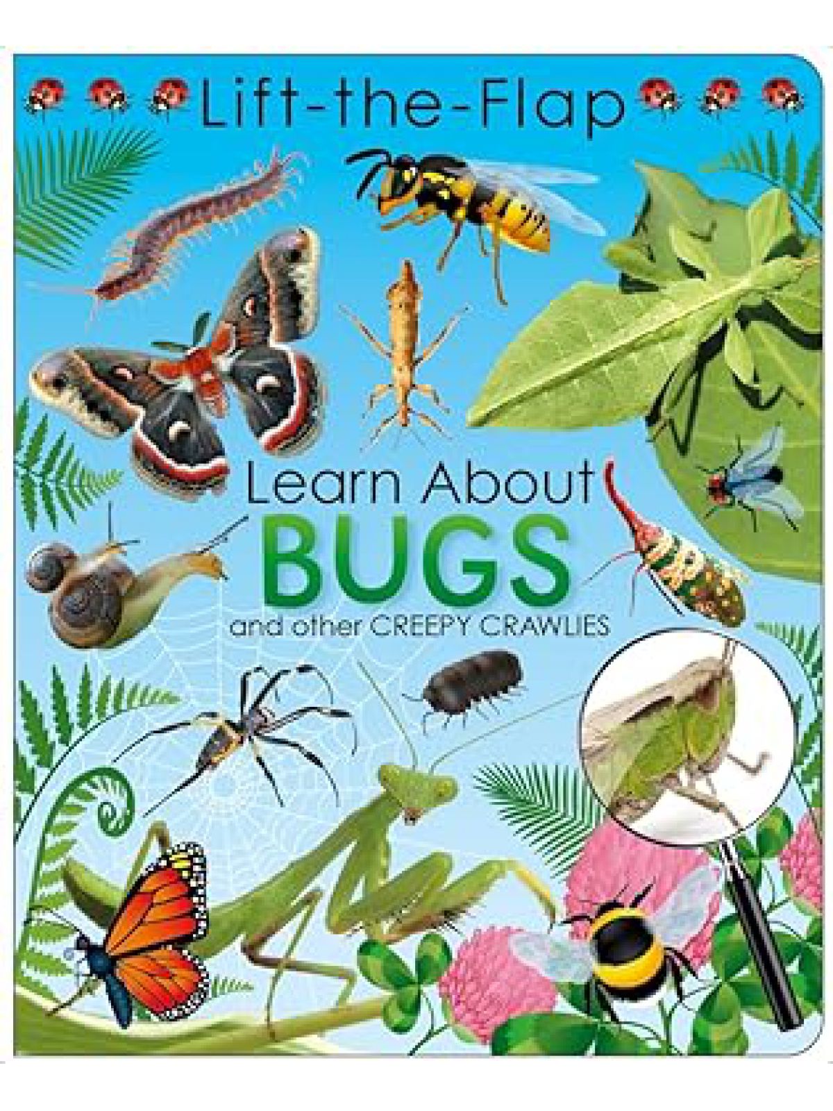 LIFT THE FLAP LEARN ABOUT BUGS