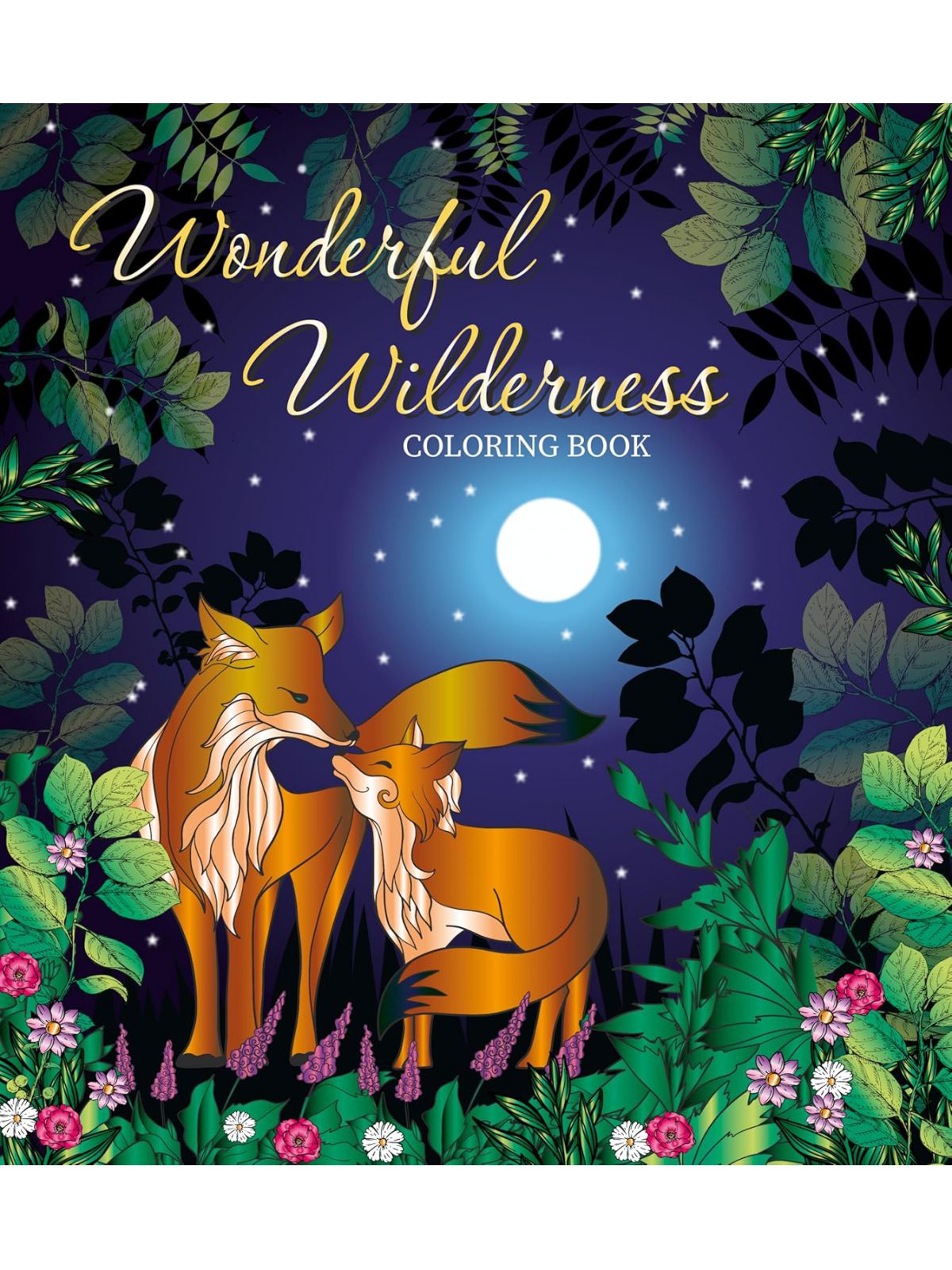 WONDERFUL WILDERNESS COLORING BOOK