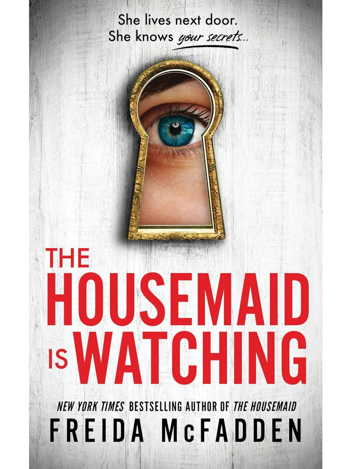 HOUSEMAID IS WATCHING #3