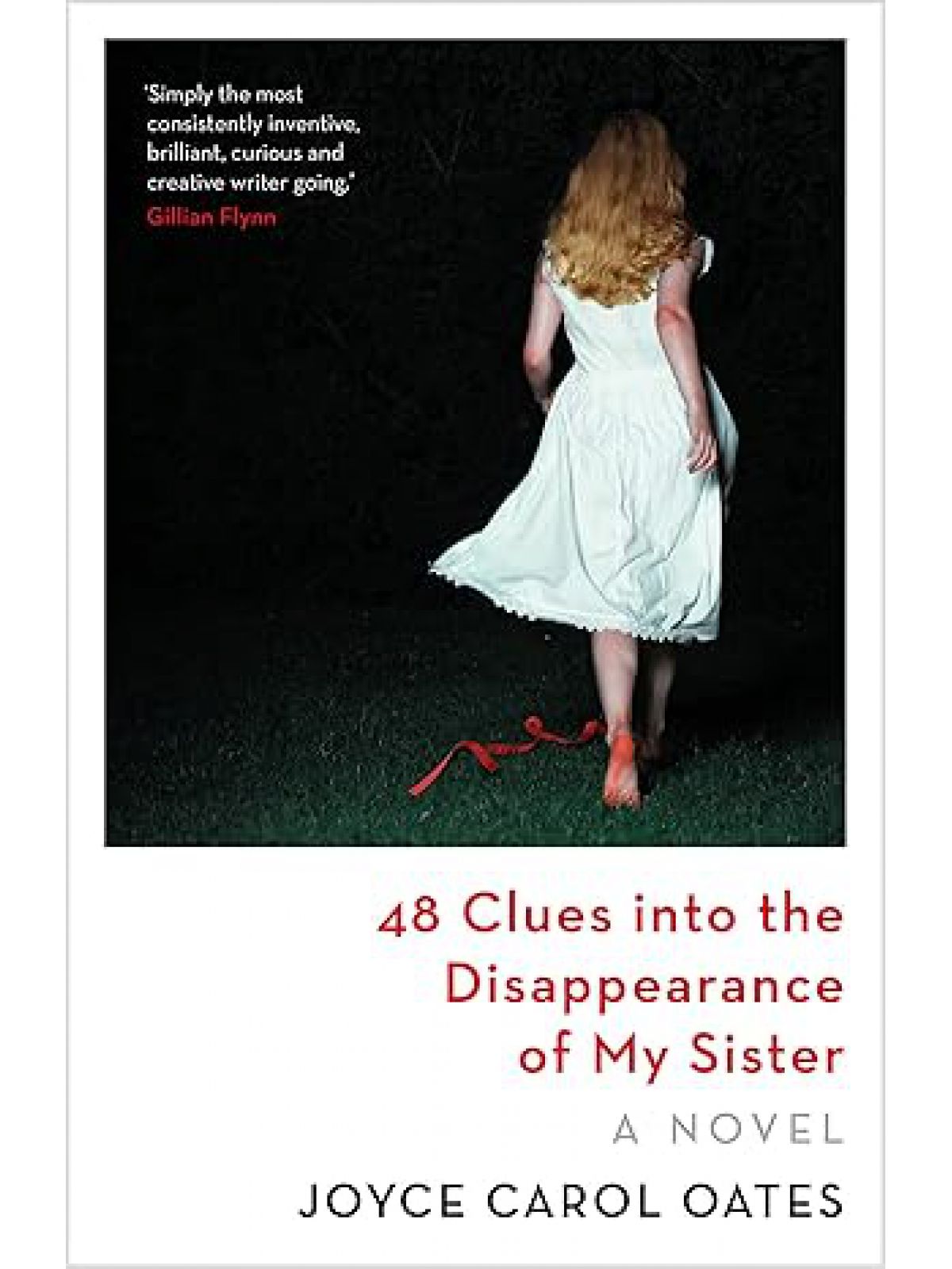 48 CLUES INTO THE DISAPPEARANCE OF MY SISTER