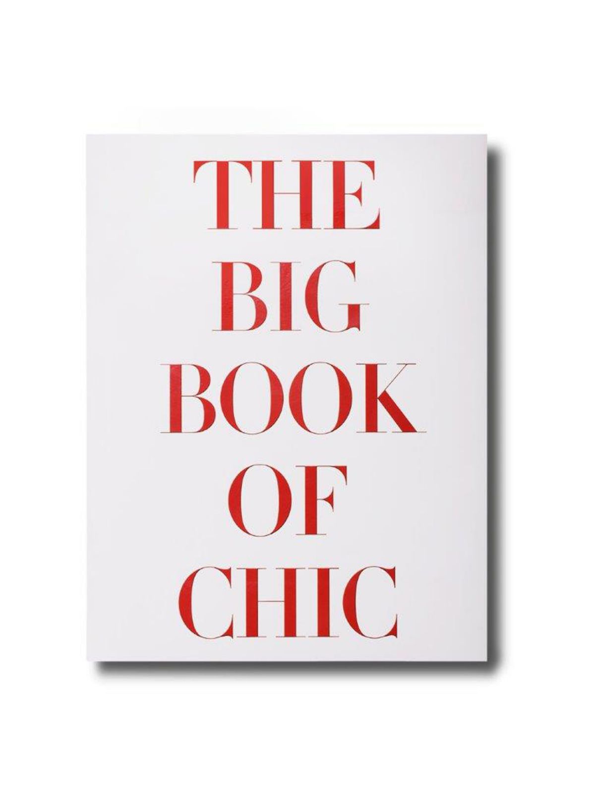 BIG BOOK OF CHIC