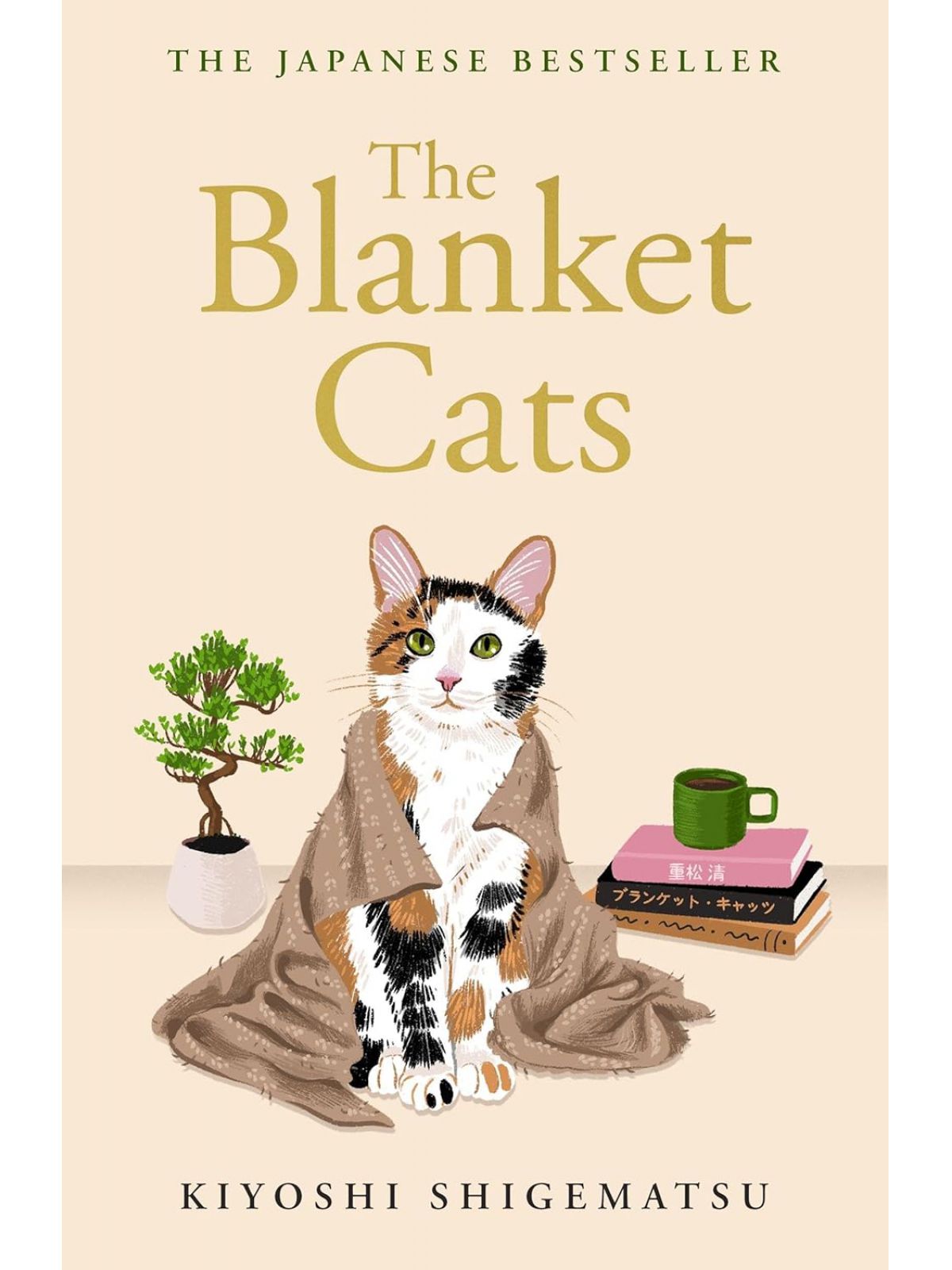 BLANKET CATS
