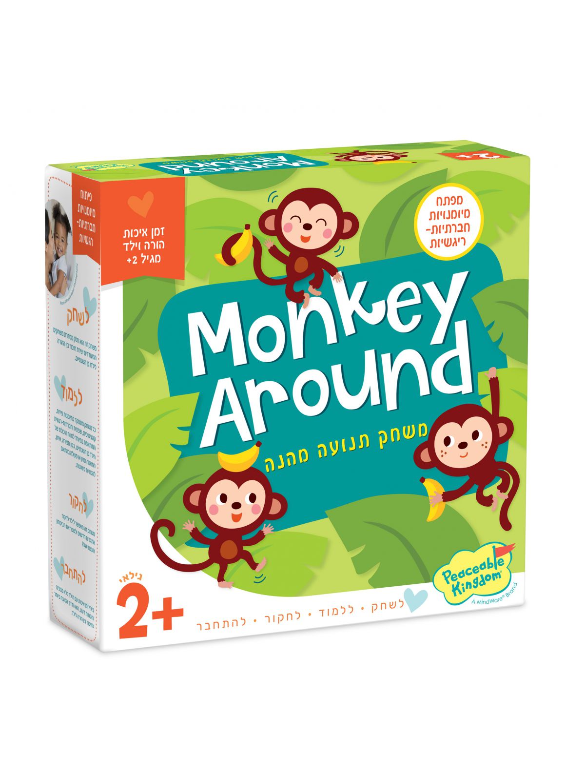 MONKEY AROUND קופים מסביב