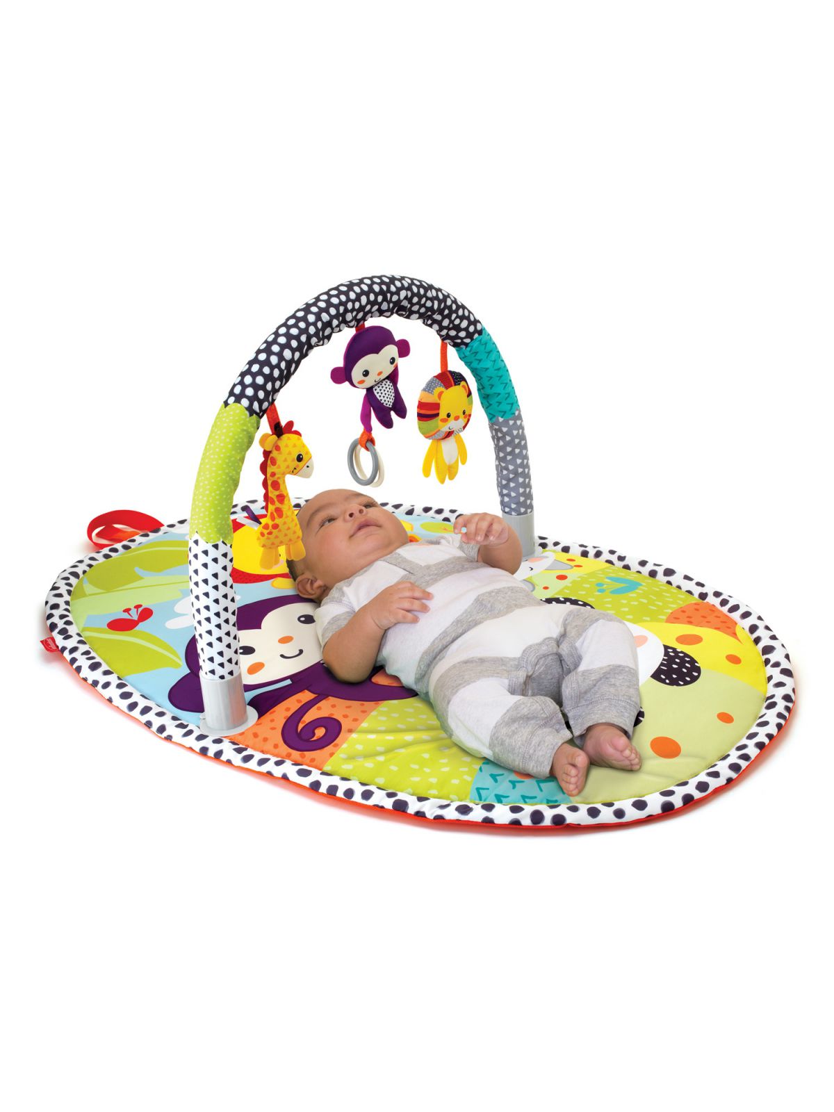 אוניברסיטת טוויטי