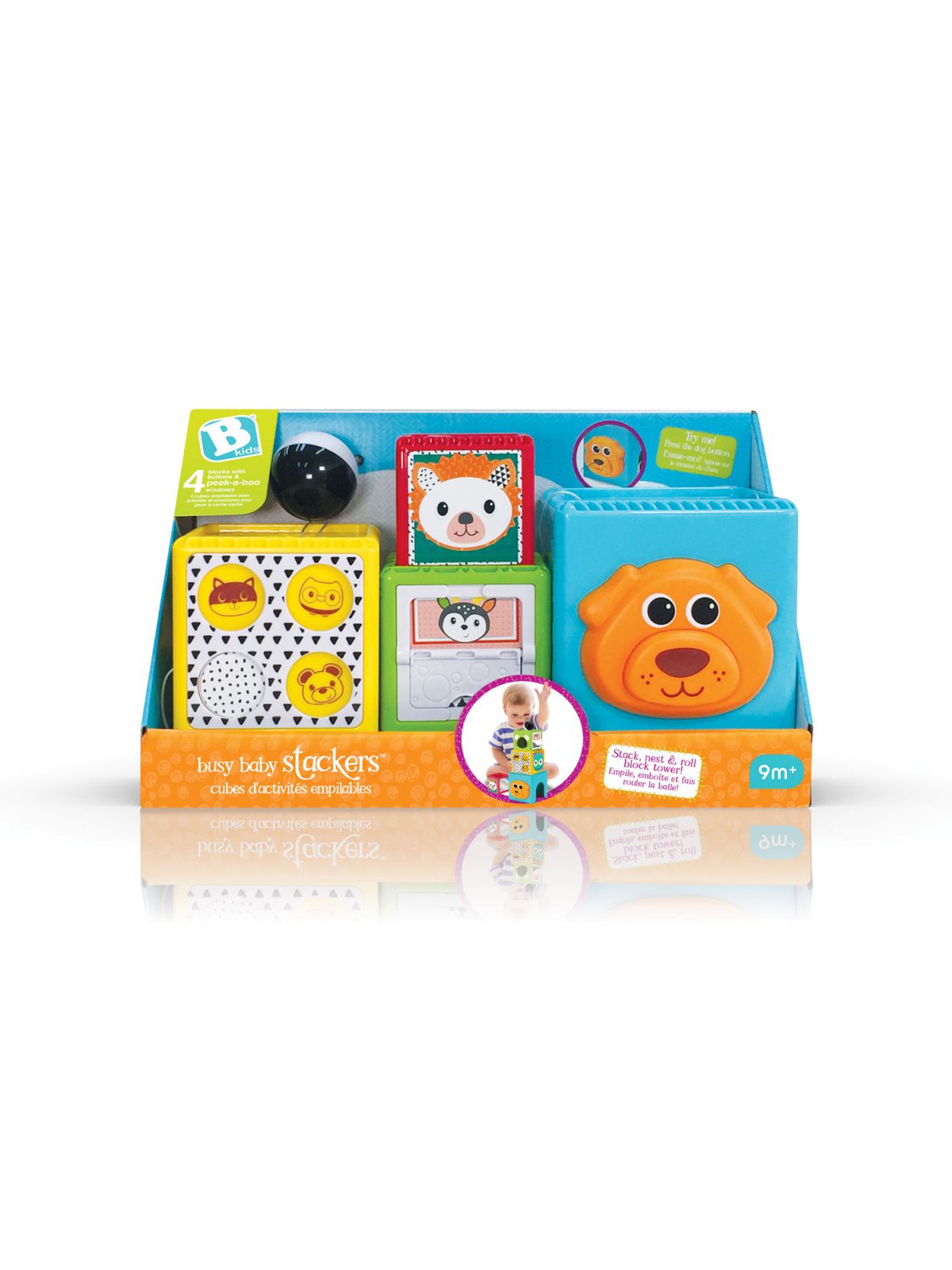 מגדל קוביות חיות