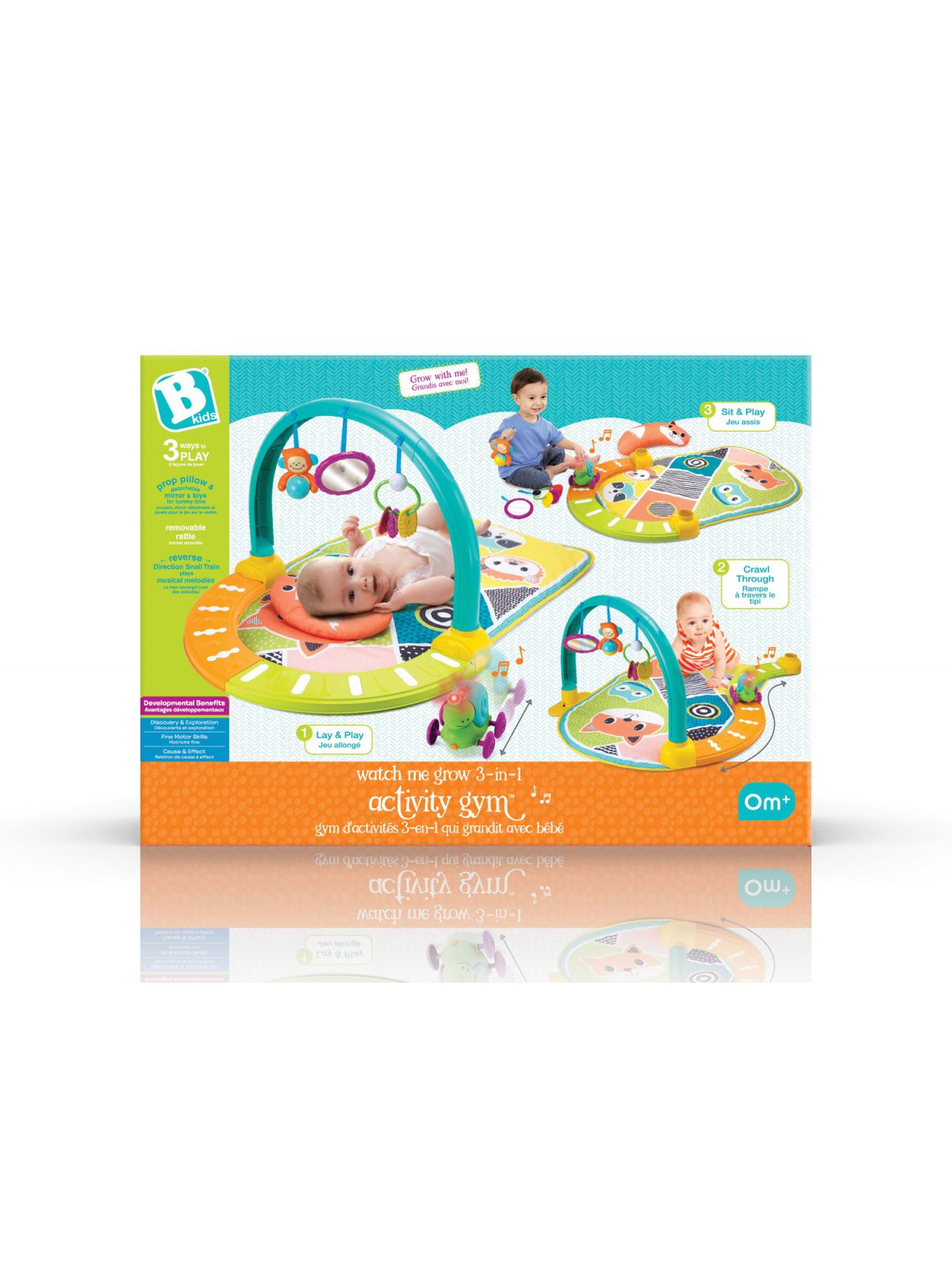 אוניברסיטה חיות 3 ב 1