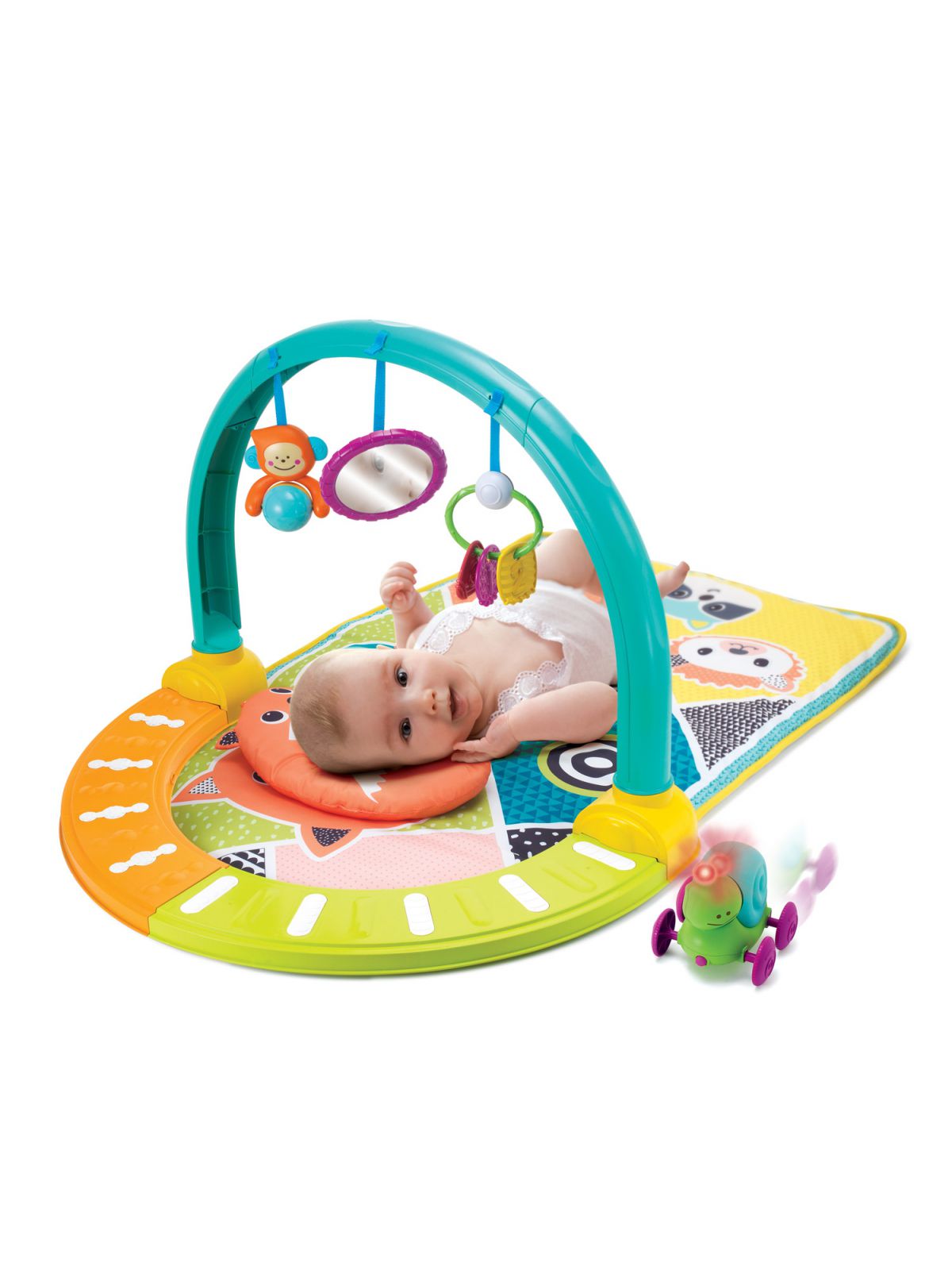 אוניברסיטה חיות 3 ב 1