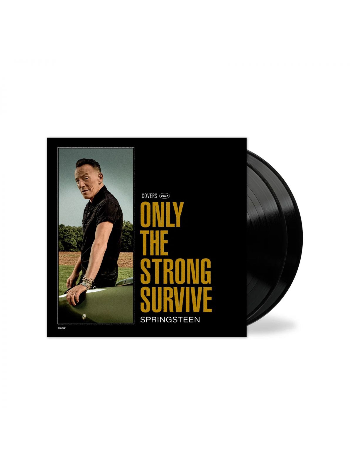 ONLY THE STRONG SURVIVE 2LP