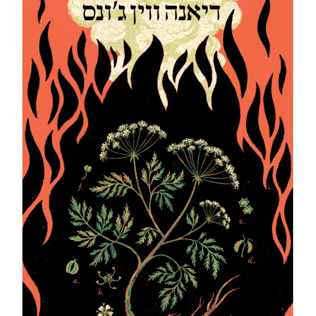 אש ורוש - ספר מודפס או דיגיטלי | סטימצקי