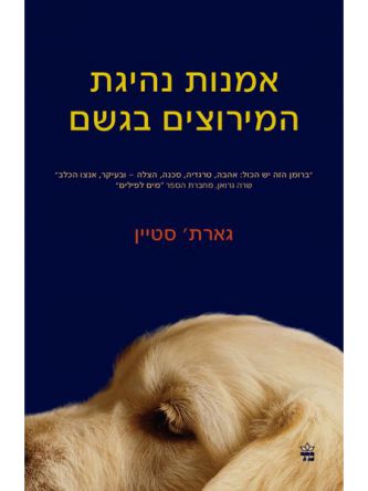 אמנות נהיגת המירוצים בגשם