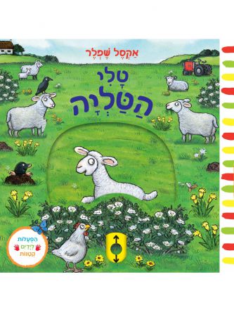 טלי הטליה דפים עבים