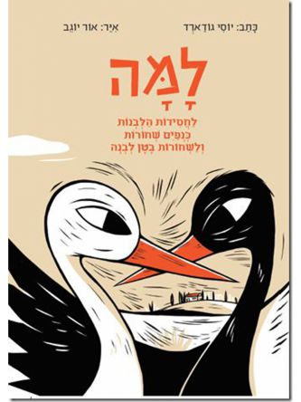 למה לחסידות הלבנות כנפים שחורות ולשחורות בטן לבנה