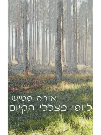 ליופי בצללי הקיום