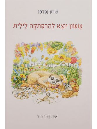 ששון יוצא להרפתקאה לילית