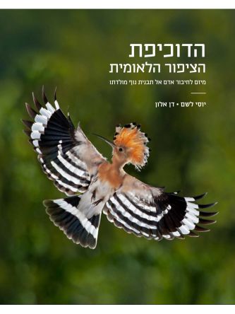 הדוכיפת הציפור הלאומית