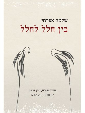 בין חלל לחלל - מחנה שורה יומן אישי