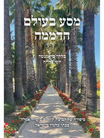 מסע בעולם הדממה