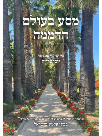 מסע בעולם הדממה