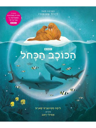 הכוכב הכחל            הכוכב הכחול