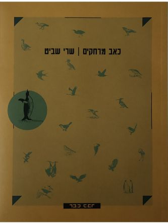 כאב מרחקים