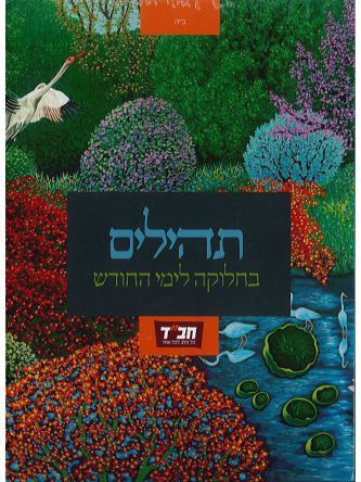 תהילים בחלוקה לימי החודש - מארז 30 ספרונים