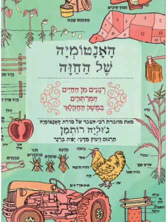 האנטומיה של החוה