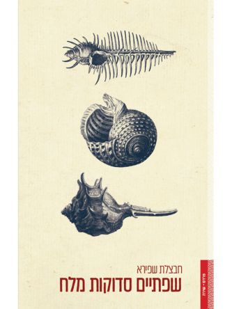 שפתיים סדוקות מלח