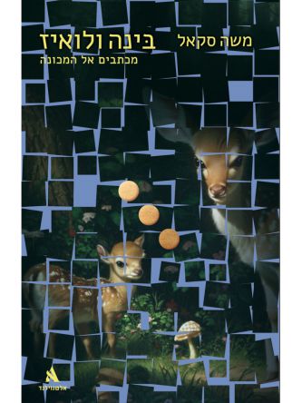 בינה ולואיז