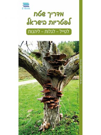 מדריך שטח לפטריות בישראל