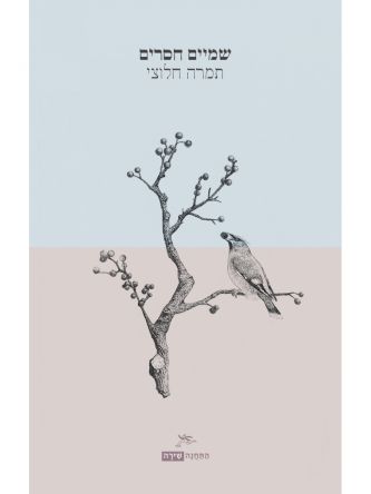 שמיים חסרים