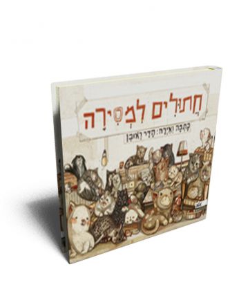 חתולים למסירה
