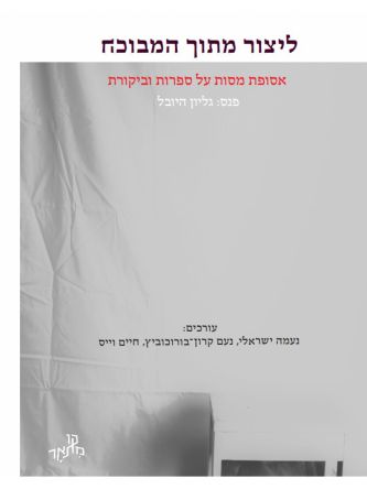 ליצור מתוך המבוכה - אסופת מאמרים על ביקורת הסיפרות