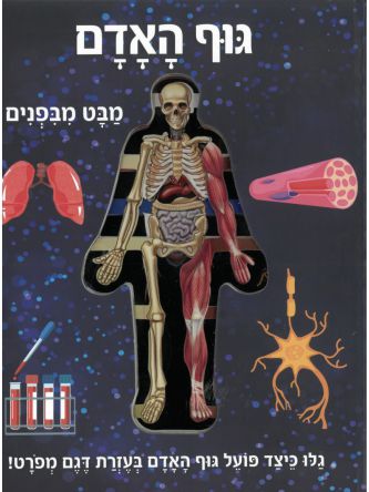 גוף האדם מבט מבפנים