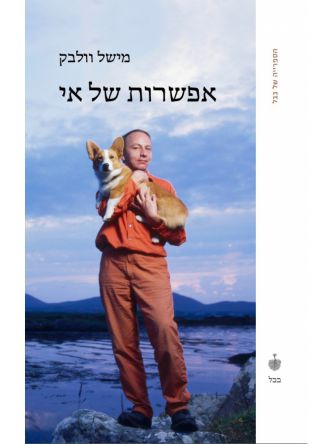 אפשרות של אי
