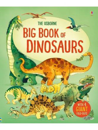 BIG BK OF DINOSAURS
