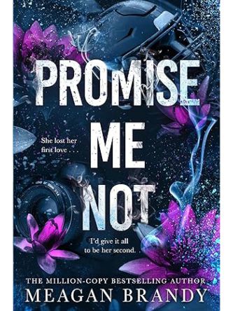 PROMISE ME NOT  (BOYS OF AVIX #2)
