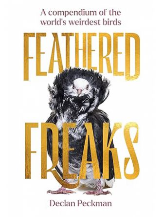FEATHERED FREAKS