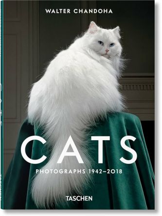 CHANDOHA CATS