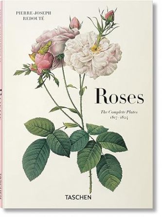 REDOUTÉ. ROSES