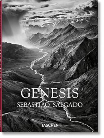 SALGADO GENESIS