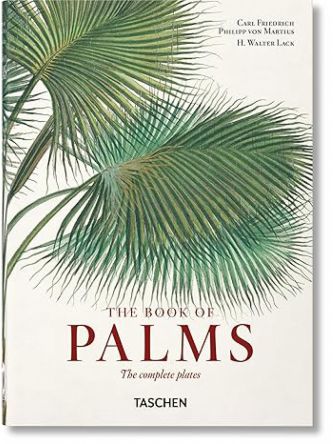 MARTIUS BOOK OF PALMS - 40