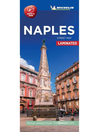NAPLES CITY MAP 9217