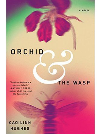 ORCHID & THE WASP