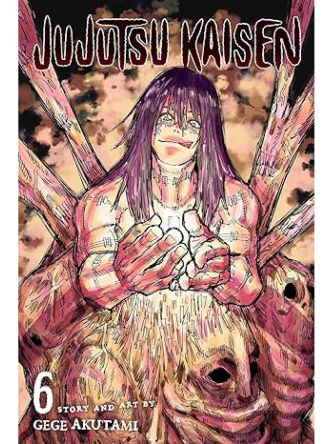 JUJUTSU KAISEN VOL 06