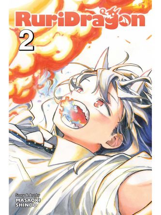 RURIDRAGON VOL 2 PA