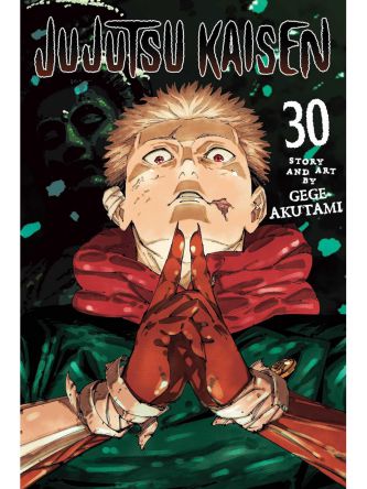 JUJUTSU KAISEN VOL 30