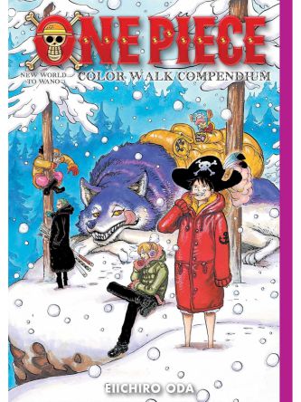 ONE PIECE COLOR WALK 3